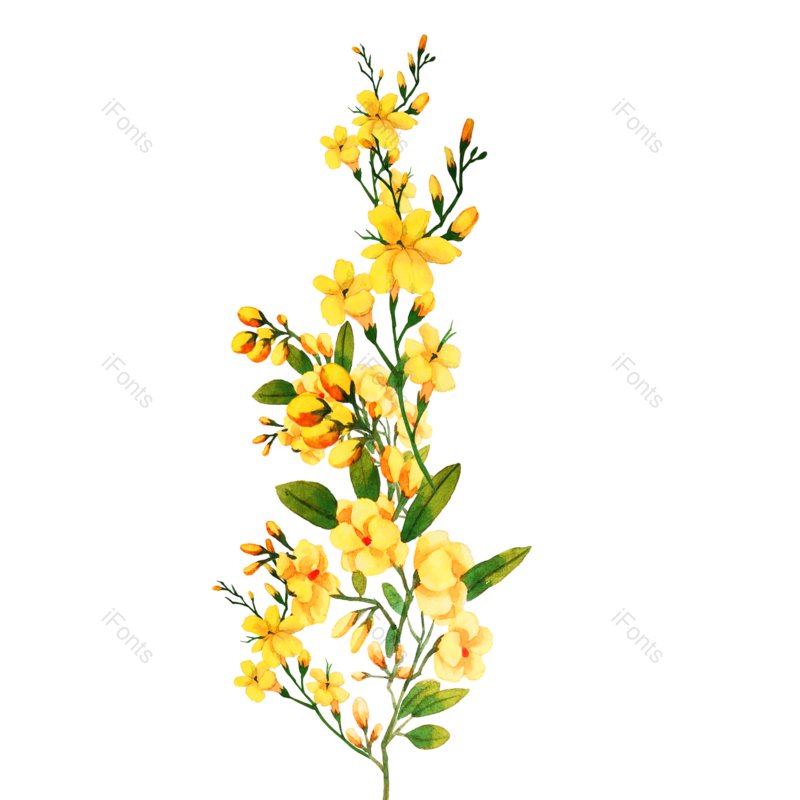黄色植物图片,黄花元素,花朵PNG,春季素材免抠素材